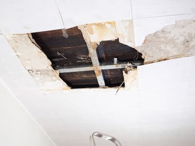 About water damage cleanup - ceiling water damage repair experts in Cape Coral